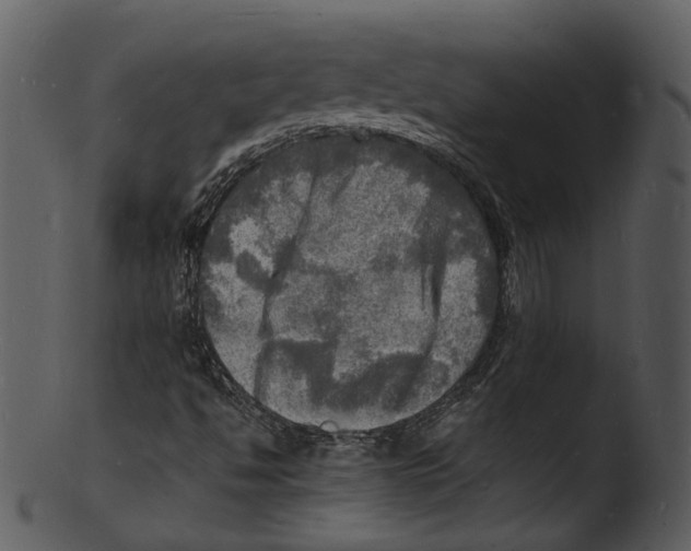 X0000103251494200809251338
