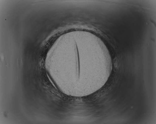 X0000103251495200809251338