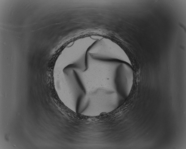 X0000103251496200809251338