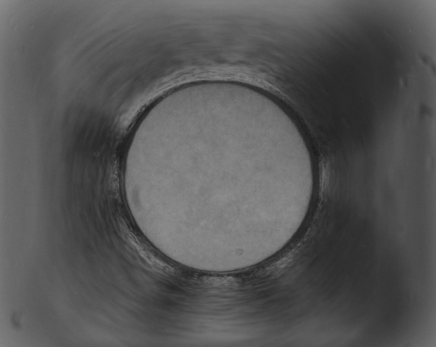 X0000103251498200809251338