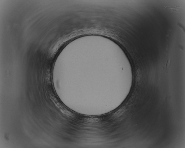X0000103251499200809251339