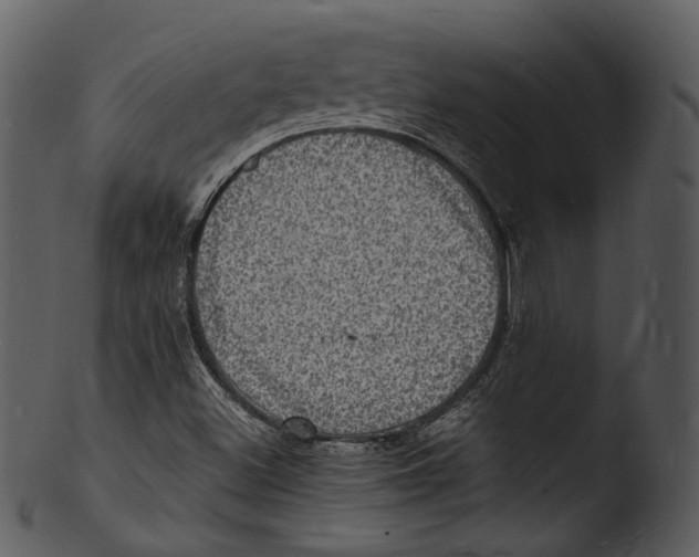 X0000103251500200809251339