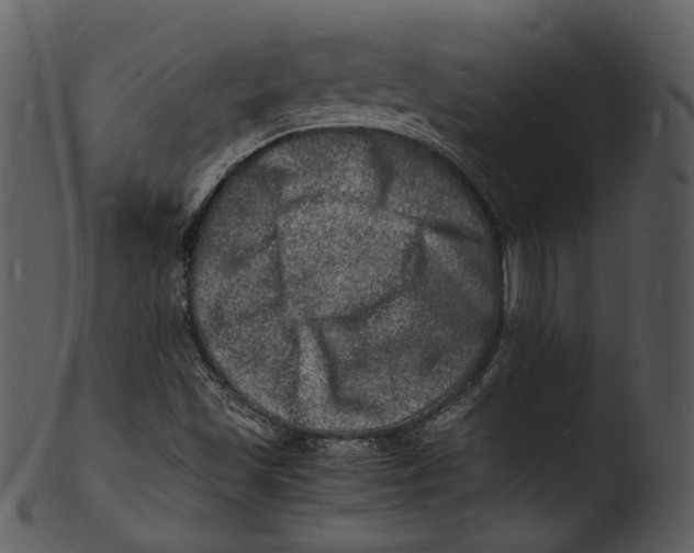 X0000103251501200809251339