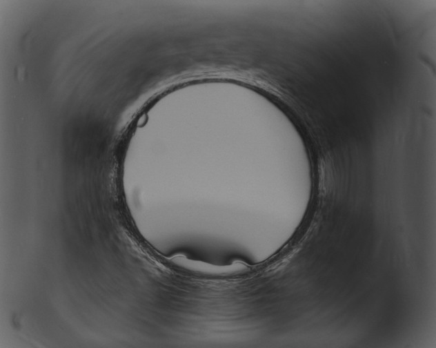X0000103251502200809251339