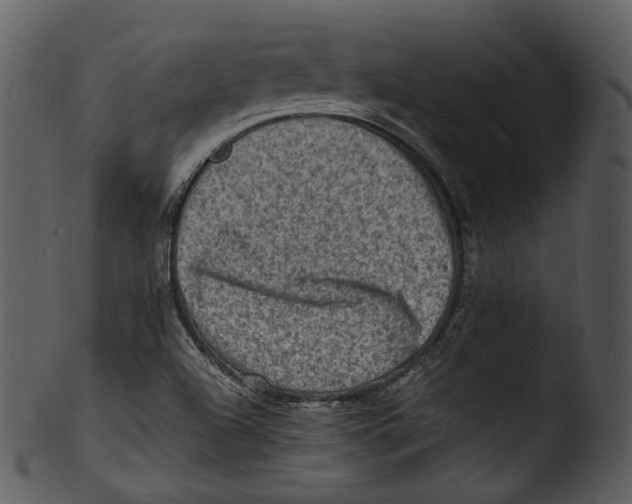 X0000103251504200809251339