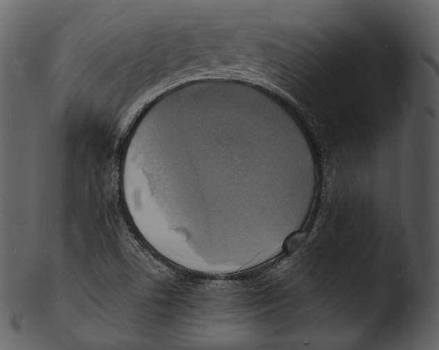 X0000103251506200809251339