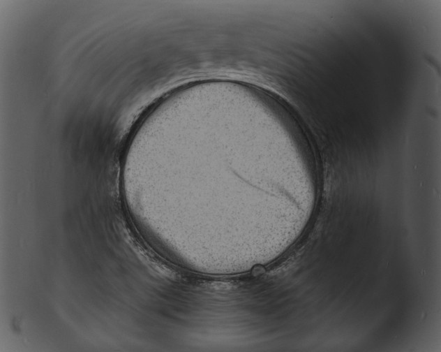 X0000103251507200809251339
