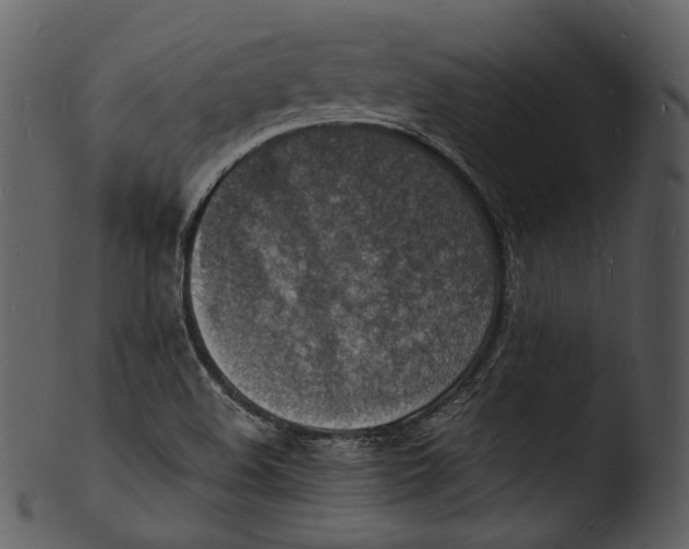 X0000103251508200809251339
