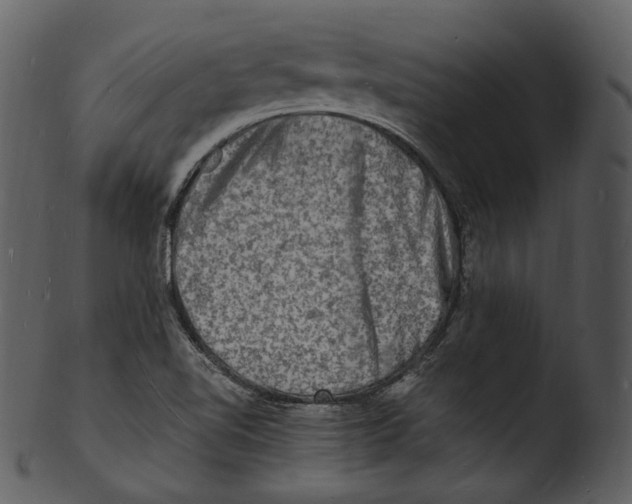 X0000103251510200809251339