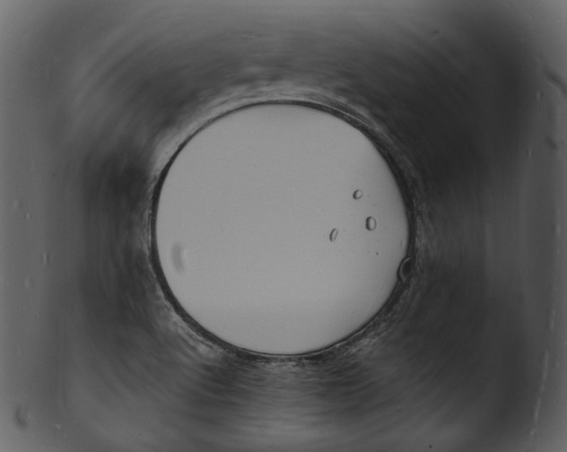X0000103251512200809251339