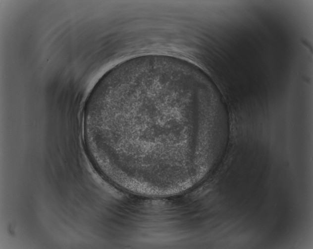 X0000103251515200809251339