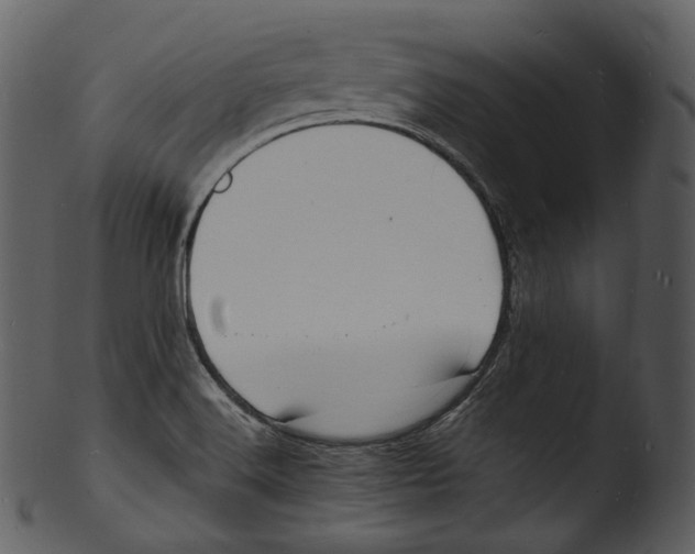 X0000103251516200809251339