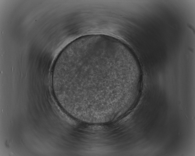 X0000103251517200809251339
