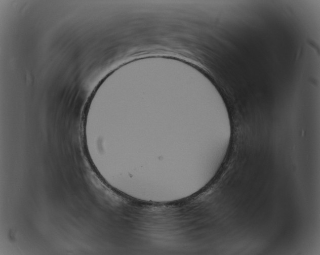 X0000103251518200809251339