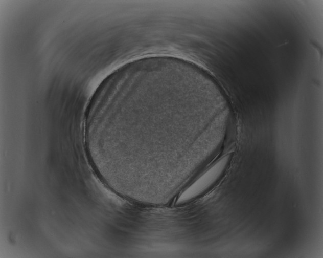 X0000103251519200809251339