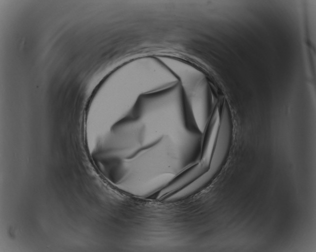X0000103251520200809251339