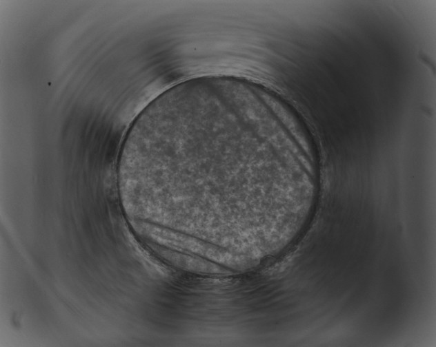 X0000103251521200809251339