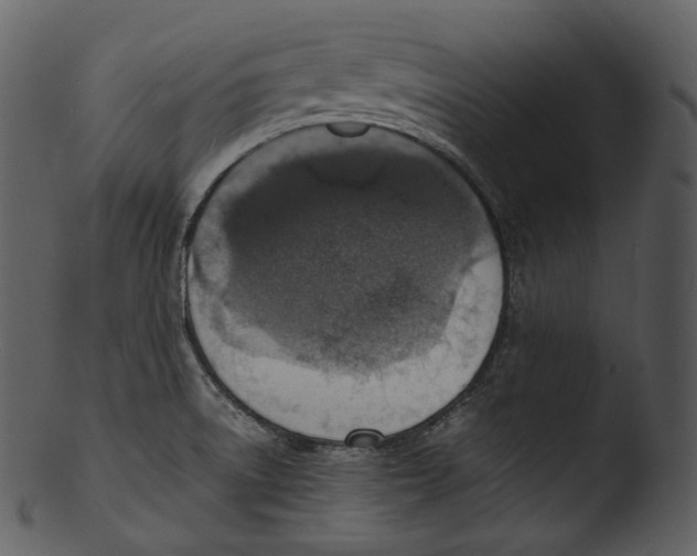 X0000103251522200809251339