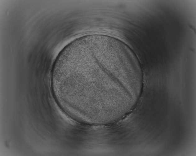 X0000103251523200809251339
