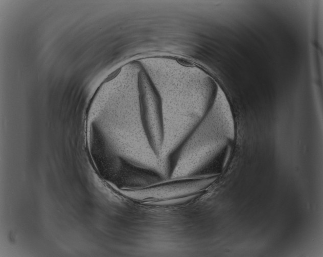 X0000103251524200809251339
