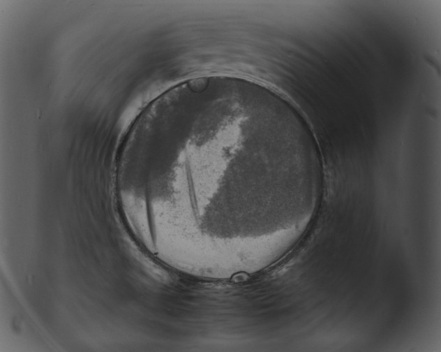 X0000103251525200809251339