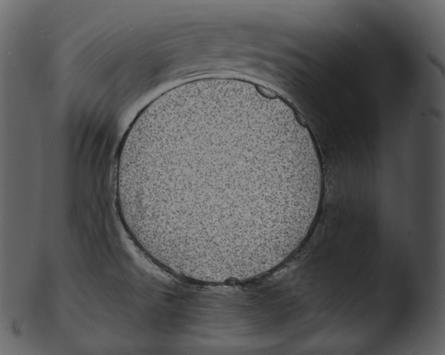 X0000103251526200809251339