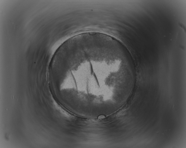 X0000103251527200809251339