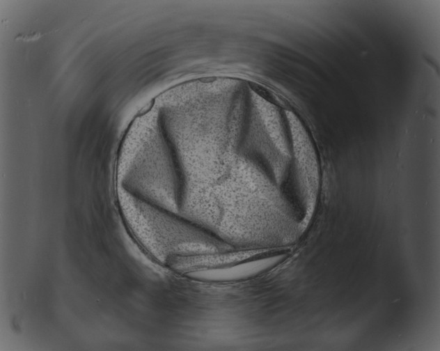 X0000103251528200809251339