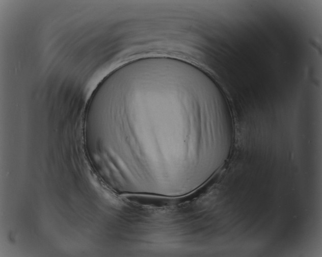 X0000103251530200809251339