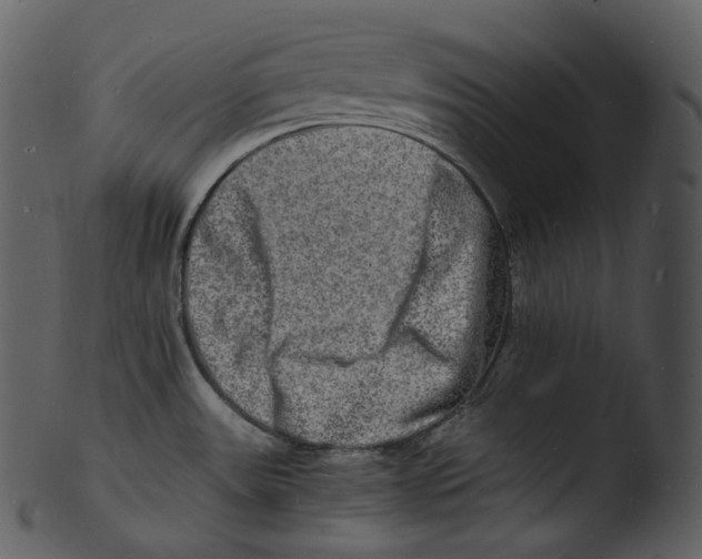 X0000103251531200809251339