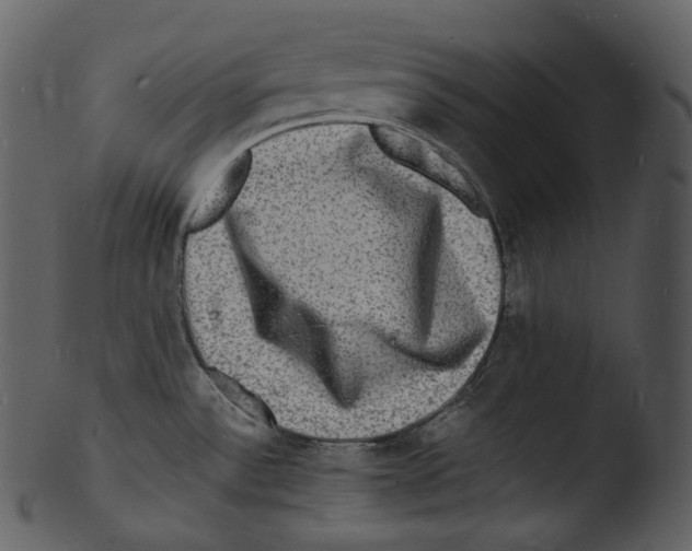 X0000103251532200809251339