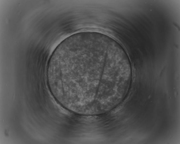 X0000103251533200809251339