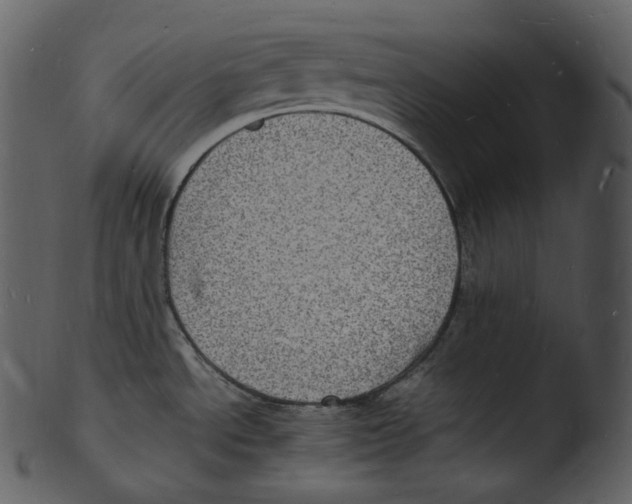 X0000103251534200809251339