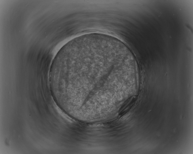 X0000103251535200809251339