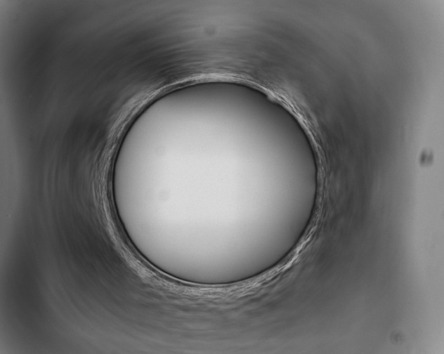 X0000103260001200808291054