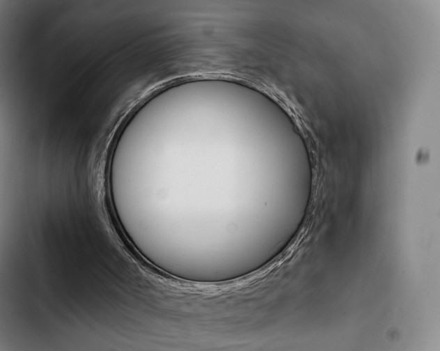 X0000103260002200808291054