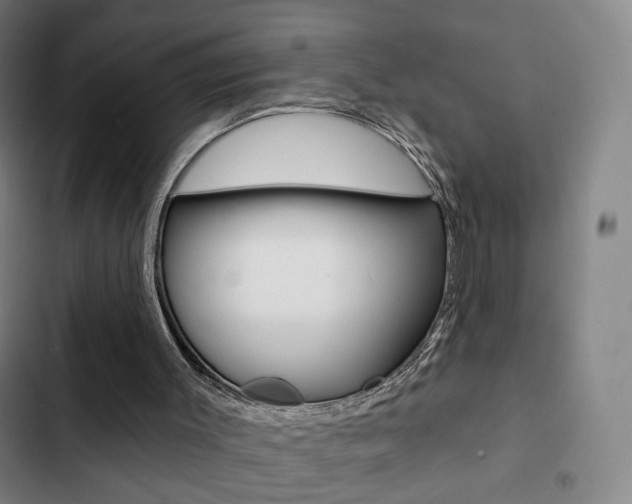 X0000103260003200808291054