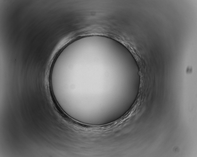 X0000103260004200808291054