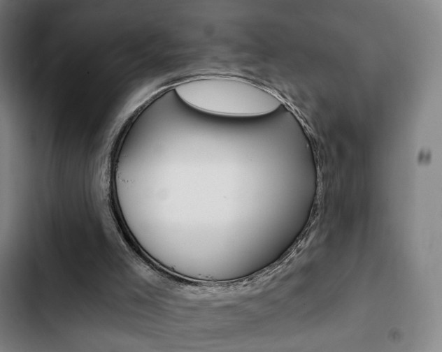 X0000103260005200808291054