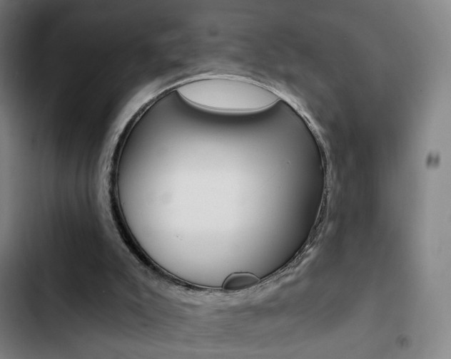 X0000103260007200808291054