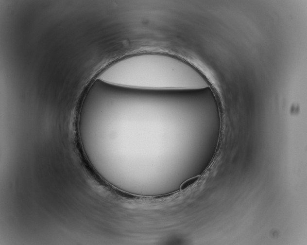 X0000103260009200808291054