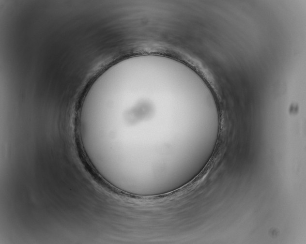 X0000103260010200808291054