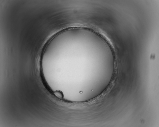 X0000103260011200808291054