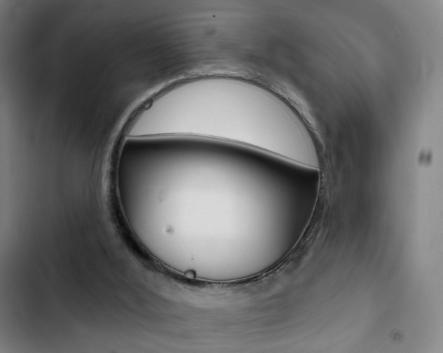 X0000103260012200808291054