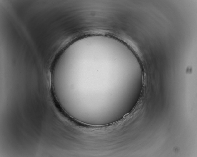 X0000103260013200808291054