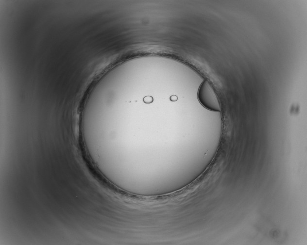 X0000103260014200808291054