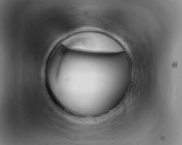 X0000103260015200808291054