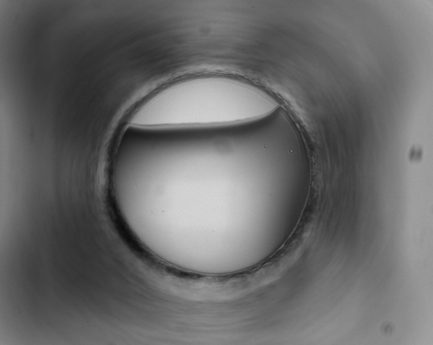 X0000103260016200808291054