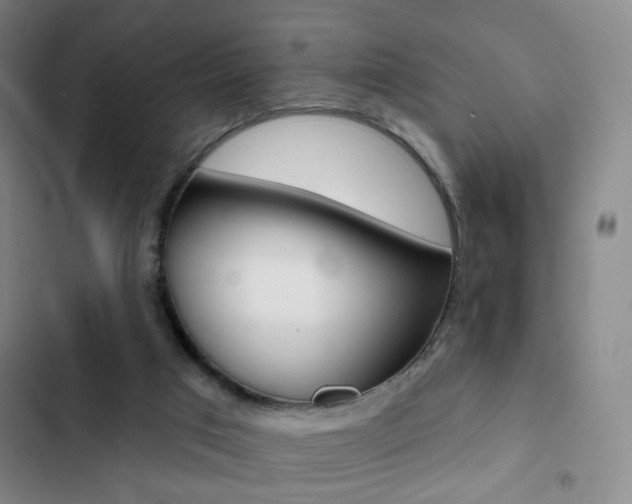 X0000103260017200808291054