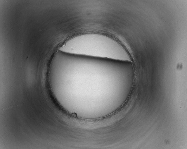 X0000103260018200808291054